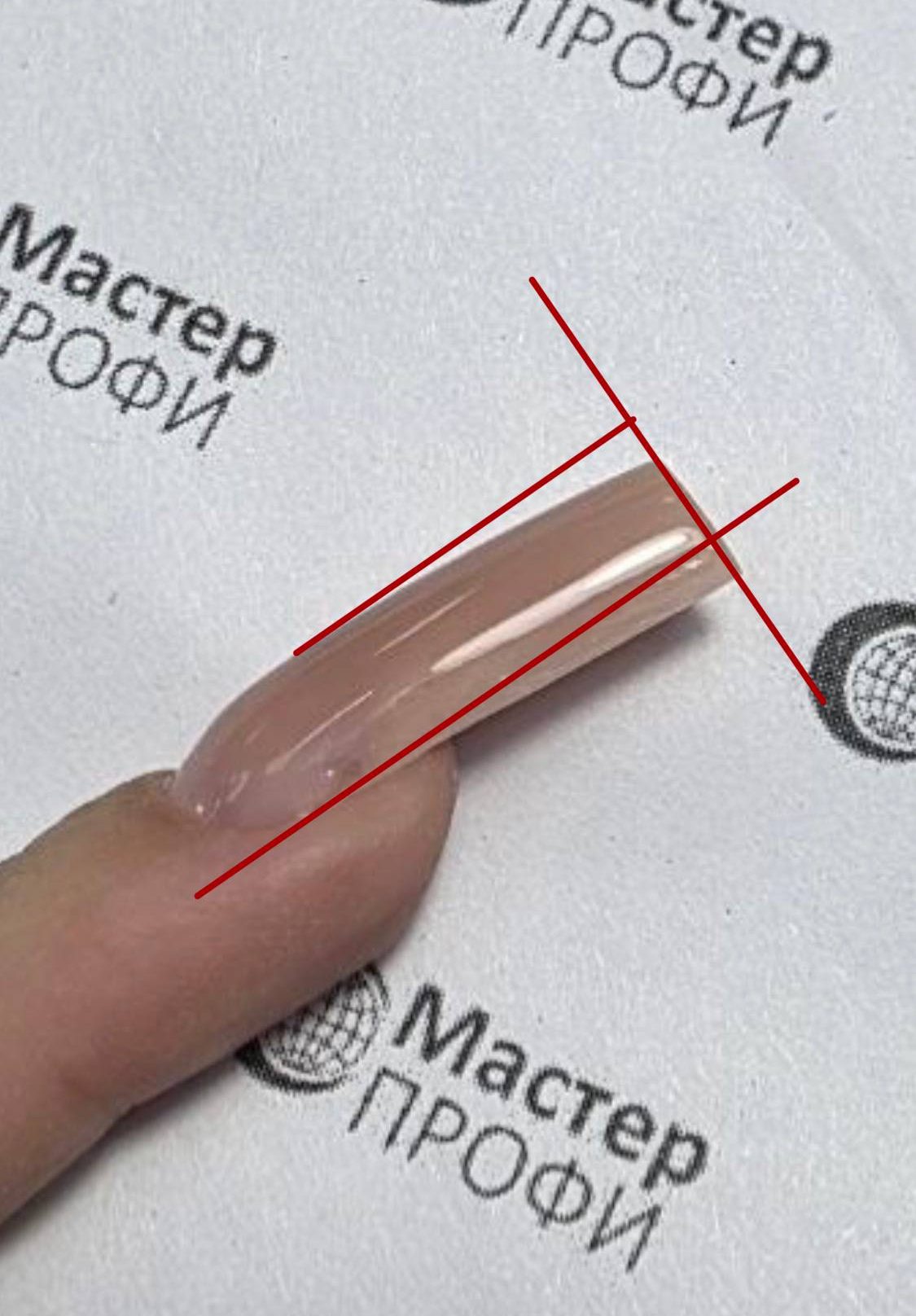 photo 2026 04 11 12 55 19